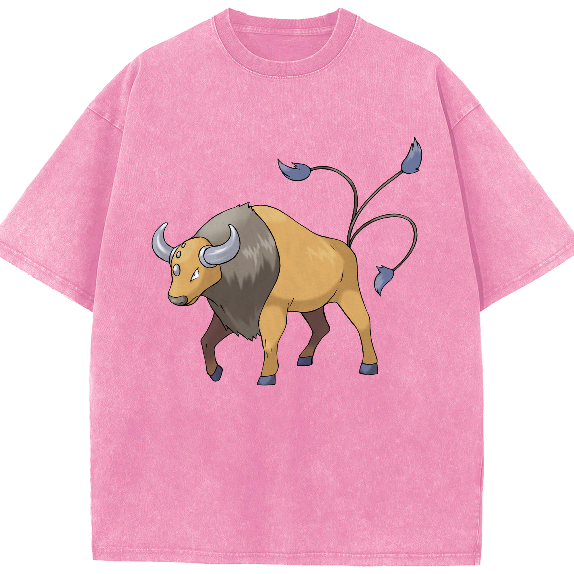 （画像用） ポケットモンスター Pokémon 綿100% ヴィンテージ風 半袖Tシャツ（フロントプリント）